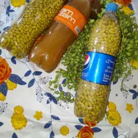 تار   آ ب|سازهای سنتی|سرپل ذهاب, |دیوار