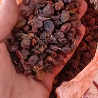 کشمش آبگیری|خوردنی و آشامیدنی|ابهر, |دیوار