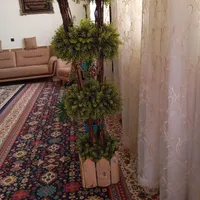 گل مصنویی شیک و قشنگ|گل مصنوعی|تربت جام, جامی|دیوار