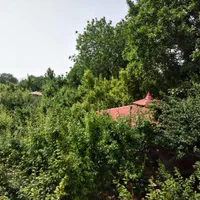 اجاره باغ ویلا استخردار سرپوشیده