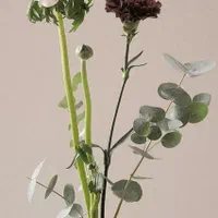 کنزان وسیله ای برای دیزاین و گل ارایی|گل و گیاه طبیعی|تهران, نیاوران|دیوار