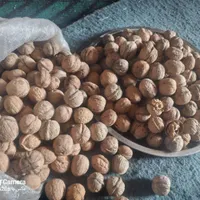 خرید و فروش  خشکبار|خوردنی و آشامیدنی|تهران, مسعودیه|دیوار
