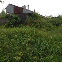 زمین تجاری اداری ۱۳۰۰ متر سنگر بعداز دانشگاه ۳۶۶۷|فروش زمین و ملک کلنگی|سنگر, |دیوار