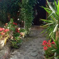 اجاره-سوئیت-روزانه