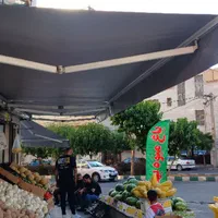 راهبند،دزدگیر،کرکره برقی،سایبان برقی|خدمات پیشه و مهارت|کرج, برغان|دیوار