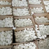 لوله اب تک لایه