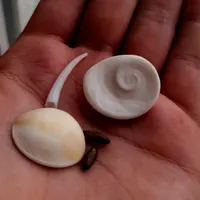 مهره اصل وارداتی درجه ۱