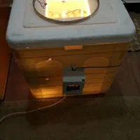 دستگاه جوجه کشی|لوازم جانبی حیوانات|زاهدان, |دیوار