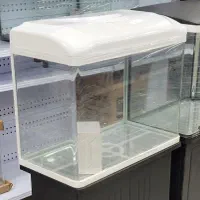 آکواریوم K580دلسا|ماهی|شیراز, خلدبرین|دیوار