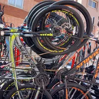 کویوتا ژاپنی