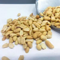 بادام زمینی کره گیری پودرنارگیل سیاهدانه مغز تخمه|عمده‌فروشی|ری, منصوریه منگل|دیوار