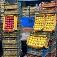 پخش عمده از میدان میوه و تره بار|خوردنی و آشامیدنی|تهران, شهرک شریعتی|دیوار