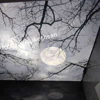 انواع سقف های آسمان مجازی کشسان لابل باریسول|خدمات پیشه و مهارت|تهران, باغ خزانه|دیوار