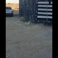 پلاک باغی فیروزآباد ۱۰۰۰ متر معاوضه با خودرو فقط|فروش زمین و ملک کلنگی|اصفهان, گورت|دیوار