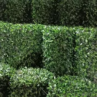 چمن مصنوعی تایل ترمو چمن.آویز.ریسه برگی و فنس|خدمات باغبانی و درختکاری|اصفهان, دانشگاه اصفهان|دیوار