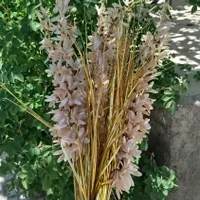 تعدادی لوازم خانگی|گل مصنوعی|بجنورد, |دیوار