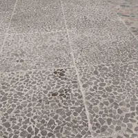 جرم گیری وکف سابی