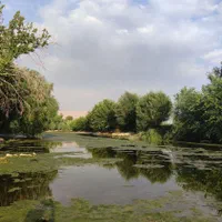 اجاره سوییت