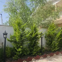 فروش خانه ویلایی ۱۳۰ متری ۲ خوابه فوری پول لازم|فروش خانه و ویلا|عباس‌آباد, |دیوار