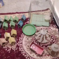 مقداری وسایل پرنده همه باهم یک میلیون|لوازم جانبی حیوانات|مشهد, شهرک مهرگان|دیوار