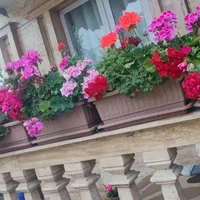 ویلا باغ دربستی استخر دار در شهر ساحلی حویق .مالک|اجارهٔ کوتاه‌مدت ویلا و باغ|آستارا, |دیوار