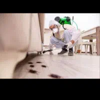 سم پاشی حشرات منزل به صورت تضمینی|خدمات نظافت|سیرجان, |دیوار