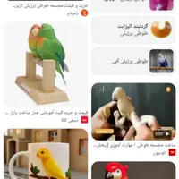 مجسمه طوطی امروز از قفس رفته