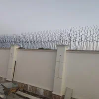 تولیدی اصلی حفاظ شاخ گوزنی در اسلامشهر اسلامشهر|خدمات پیشه و مهارت|اسلام‌شهر, مظفریه|دیوار