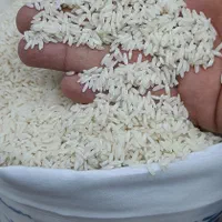 برنج ایرانی فوق معطر اصیل میانه ممان(ارگانیک،طبیعی|خوردنی و آشامیدنی|تبریز, |دیوار