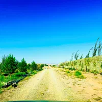 زمین باغی مسکونی سنددارشاهنامه گوارشک206نقدقسط207|فروش زمین و ملک کلنگی|مشهد, توس فردوسی|دیوار