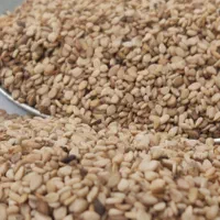 پخش عمده کنجد روغن گیری ،کنجد ارده ،کنجدسفید ارده