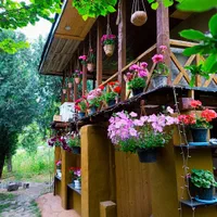 کلبه جنگلی سنتی|اجارهٔ کوتاه‌مدت ویلا و باغ|ماسال, |دیوار