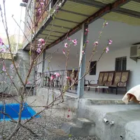 سوئیت دربست اجاره ای ،توشن روزانه.شبانه. خونه باغ|اجارهٔ کوتاه‌مدت ویلا و باغ|گرگان, |دیوار