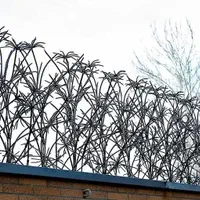 حفاظ دیواری ( شاخ گوزنی )|مصالح و تجهیزات ساختمان|قائن, |دیوار