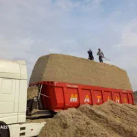 فروش کاه نیشکر و باگاس دامی خوزستان|حیوانات مزرعه|اهواز, شهرک توسعه نیشکر|دیوار