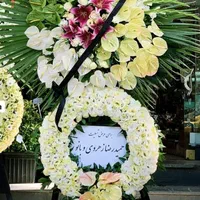 تاج گل باشکوه و نمادار ۲م|گل و گیاه طبیعی|اصفهان, دشتستان|دیوار