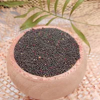 دانه کلزا تمیز و سورت شده و روغن کلزا خالص|عمده‌فروشی|ری, جوانمرد قصاب|دیوار