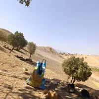 کیسه