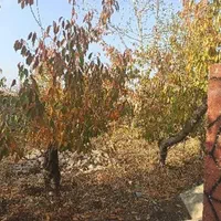 باغ ویلا ۶۰۰ متری حاشیه جاده قدیم ، گلبهار|فروش خانه و ویلا|مشهد, دوست آباد|دیوار