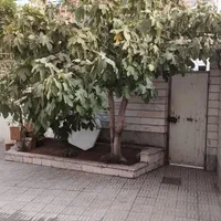فروش خانه ۱۵۸متر زمین ،۳۰۰متر بنا در 3 طبقه|فروش خانه و ویلا|قزوین, |دیوار