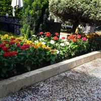 خدمات باغبانی|خدمات باغبانی و درختکاری|نوشهر, |دیوار