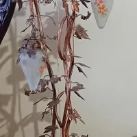 آباژور خوشه انگور