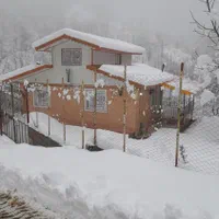 ویلا جنگلی جای بکر ودیدنی|اجارهٔ کوتاهمدت ویلا و باغ|املش, |دیوار