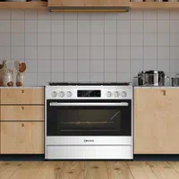 اجاق گاز فردار سفید اسنوا سری آدرینا پرو 31112