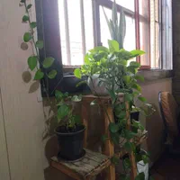 استخدام کارگر ساده خانم/آقا-نظافت منزل/جاخواب