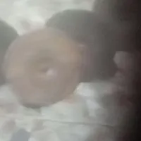 سنچ دمام زنی