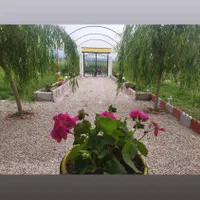 زمین باغ سندتک برگ فول امکانات استخر دار ۴۷۵متر|فروش زمین و ملک کلنگی|گرگان, |دیوار