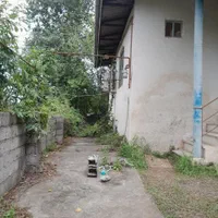 اجاره خانه ویلایی متراژ زمین ۲۵۰متر   بنا ۷۵متر|اجارهٔ خانه و ویلا|کلاچای, |دیوار