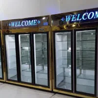 یخچال ایستاده تک/دو/سه درب/فالوده یخ دربهشت