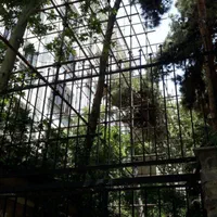 داربست بهارتمام نقاط تهران،پاسداران،شریعتی،محلاتی|خدمات پیشه و مهارت|تهران, مهران (سیدخندان)|دیوار